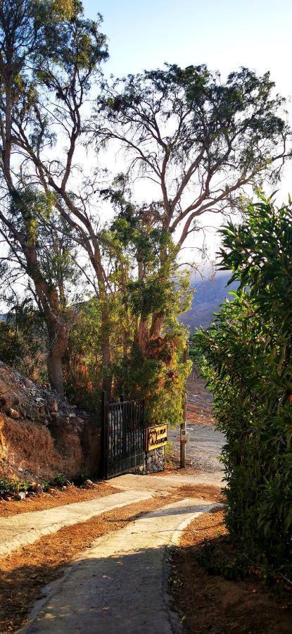 Casa Ollagua Hotel Vicuna Ngoại thất bức ảnh